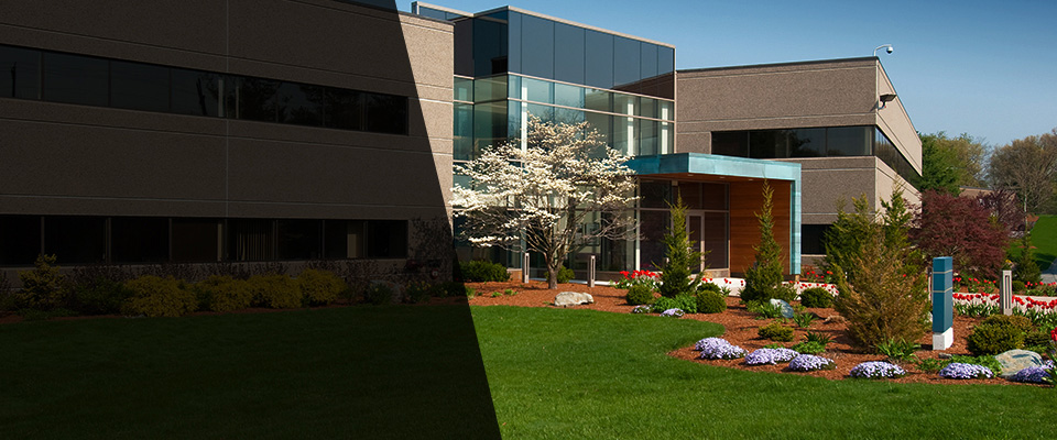 Hawthorne Landscapers