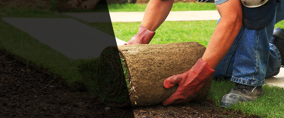 Hawthorne Landscapers